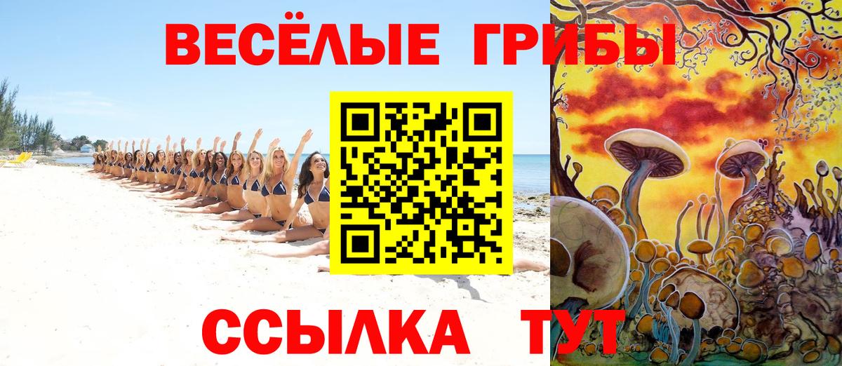 Галлюциногенные грибы Psilocybine cubensis Электросталь